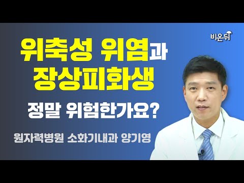 위축성 위염과 장상피화생, 정말 위험한가요?(서울내몸케어 양기영)