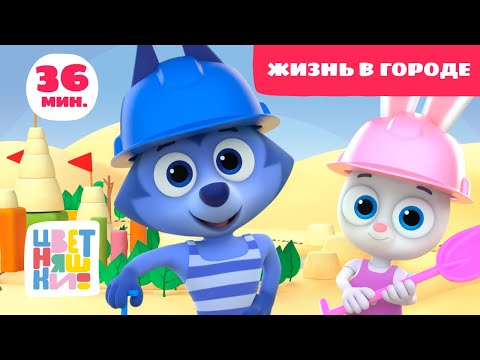Цветняшки - Жизнь в городе - Сборник - Развивающий мультфильм для малышей