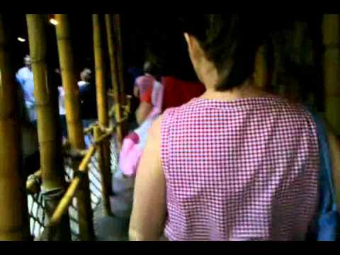 2011 09 19 Happiest Place on Earth