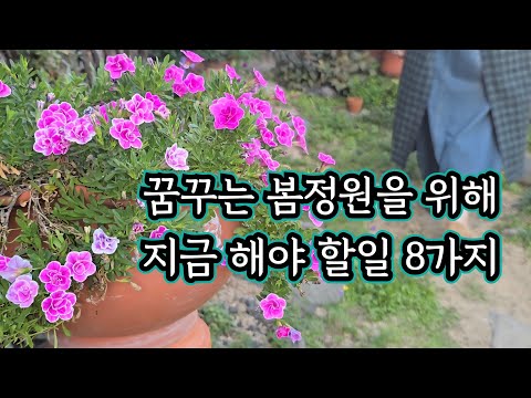 꿈꾸는 봄  정원을 위해 지금해야할 8가지/꿈꾸는 봄 정원 돈 안들이고 하는 방법/주택가드닝