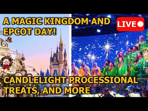 Three Parks in One Day! Magic Kingdom, Epcot, Hollywood Studios WDW Live!🎄✨