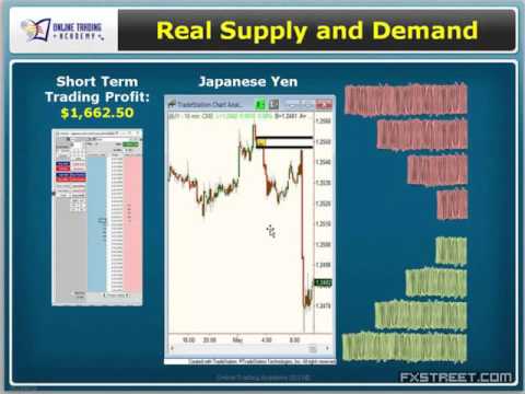 Sam Seiden: Supply/Demand Basics