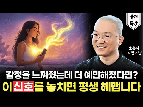 감정이 정화됐다는 진짜 증거 (ft. 감정 정화 워크숍 Q&A)