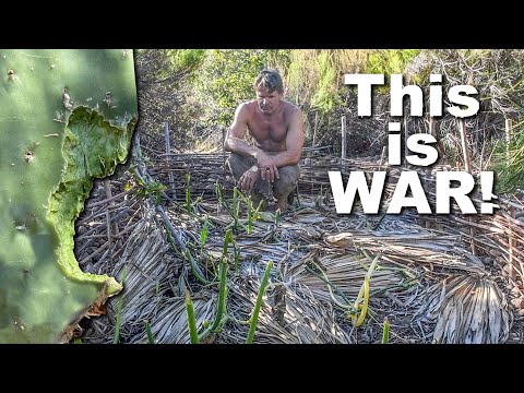 Primitive Gardening: Battle Against Varmints