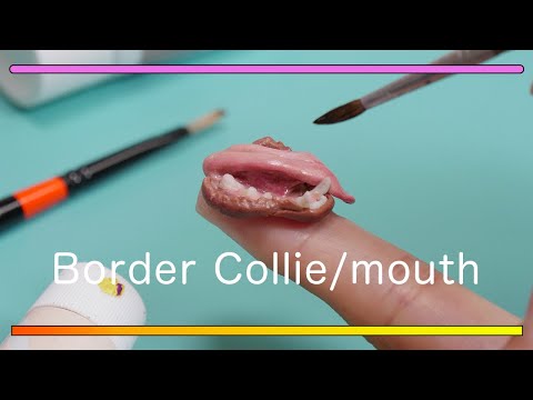 Border collie mouth made of oven-hardening polymer modeling clay