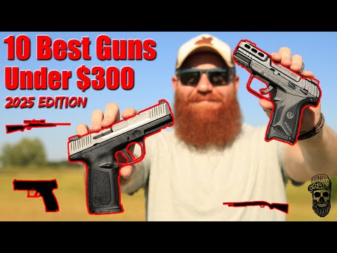 10 Best Guns Under $300 2025 Edition