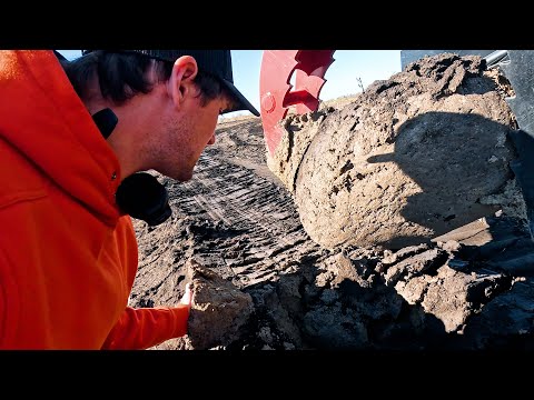 New Farm Comes With Lots Of Surprises!! And A Ton Of Work!