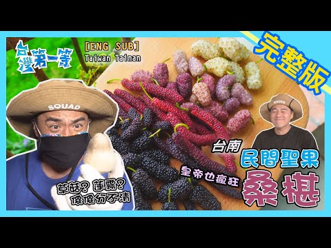 [ENG SUB] 台南 Tainan【民間聖果桑椹  6種新品一次吃到飽 /  全台珍稀草菇寮  顆顆比大勝蓮霧】│2021.05.16│《台灣第一等》完整版