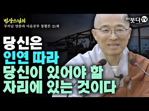 당신은 인연따라 당신이 있어야 할 자리에 있는 것이다 | 법상스님의 행복한 마음공부 | 부처님 말씀과 마음공부 통합본 21회 | 말씀