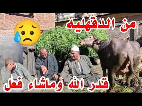 الـسكينه سرقاه لحد ما اخد ضربة شمس ☀ومحدش بيفرط في ماله بساهل قدر الله وما شاء فعل