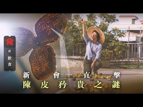 【一年一造】陳皮之鄉新會直擊 家庭式工房一條龍製作 陳皮做嫁妝 坐月要食大紅皮