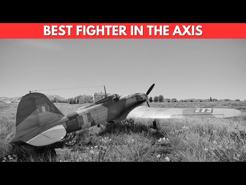 Why Germany Wanted This Italian Fighter Built In Their Own Factories