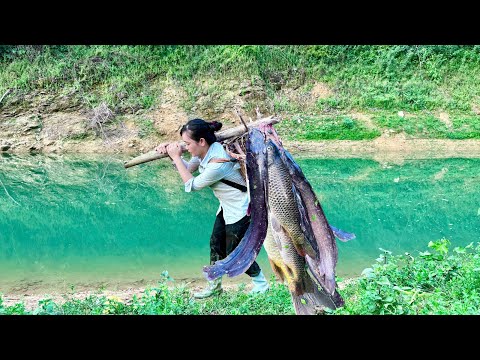 Girl ancient fishing skills helped him catch a large school of fish to sell at the market.
