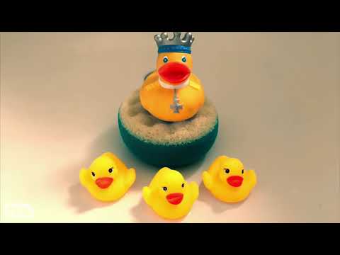 The Bit with the Ducks (James Veitch is a terrible roommate)