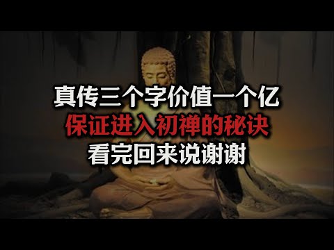 价值一个亿的初禅法门，人人都能进入初禅，看完回来说谢谢#佛法#初禅#五盖#昏沉#秘诀