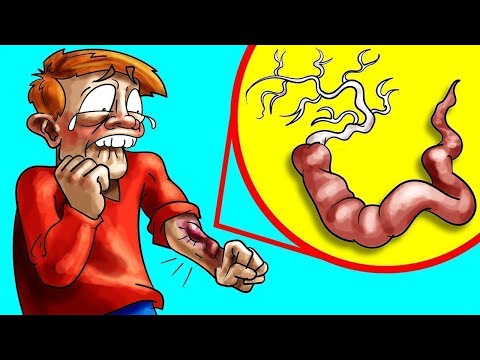 Why You Should Never Let These Creatures Lick You