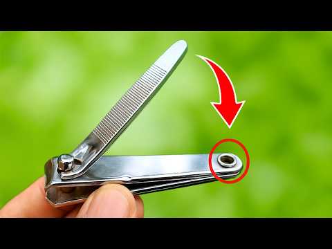 Billions of people don't know! 7 SECRET functions of nail clippers