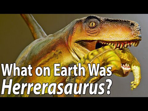 What on Earth Was Herrerasaurus?