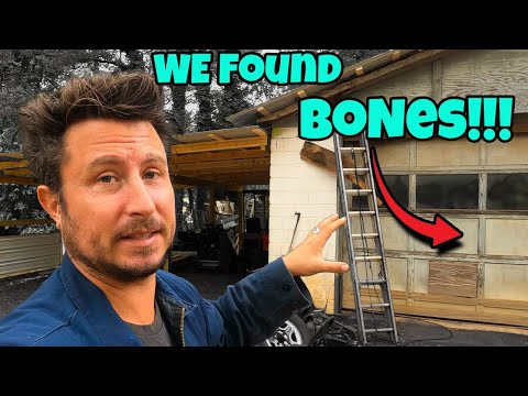 Abandoned Shop Workspace CLEAN OUT!  Its *BAD* in here... - MAJOR IMPROVEMENTS