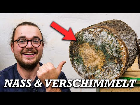 Was kann man aus diesem Holz noch machen?