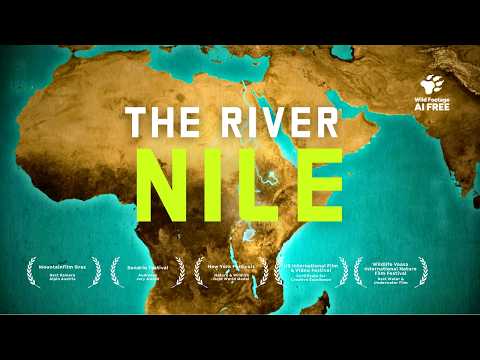 Untamed Nile: Wildlife & Wonders Along the World's Longest River | 4K Nature Documentary