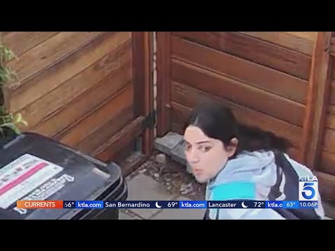 Amazon driver poops, pees in front of at least two L.A. homes on Mother's Day