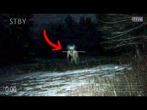 Police Interrogated The Witness For 11 Hours. That Made it Worse.