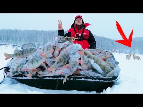 ПОЕХАЛ НА РЫБАЛКУ, НО ЧТО ТО ПОШЛО НЕ ТАК....