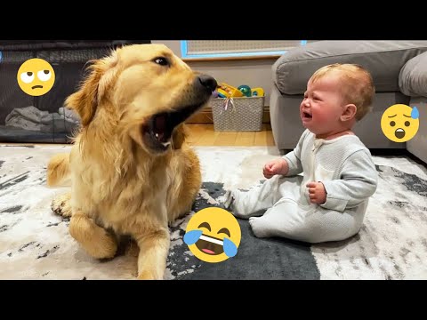 I dare you not to LAUGH at these FUNNY DOGS 😁🦮 - Best Funny Animals Videos 2025 #154