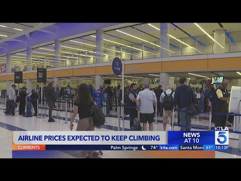 Flight cancellations grow as fuel prices surge worldwide and airfare prices keep climbing