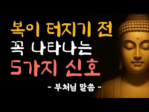 복이 오기 직전, 반드시 나타나는 5가지 징조 | 부처님 말씀 | 부처님 법문 | 삶의 지혜 | 노년의 삶