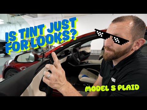 How to HAVE the COOLEST Car in town!!! :  Fully Tinted Model S Plaid