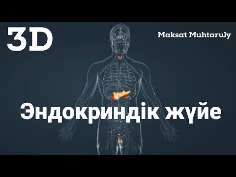 Эндокриндік жүйе|Бездер