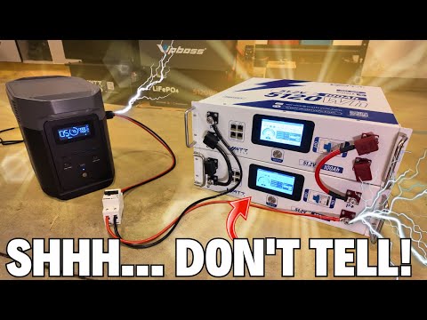 The Batteries EcoFlow DOESN'T Want You to Know About!