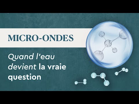 Le Micro-ondes est-il dangereux pour la santé ?