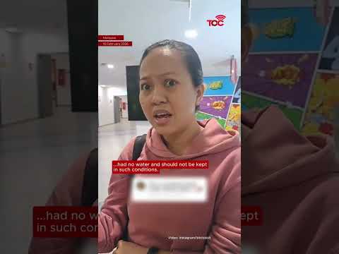 Mall in Malaysia shuts petting zoo after viral alpaca videos spark backlash