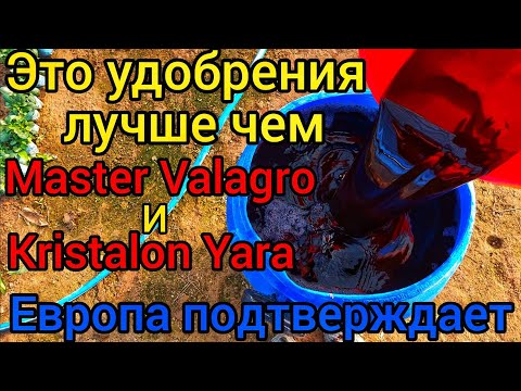 Это удобрения лучше чем МАСТЕР ВАЛАГРО и КРИСТАЛОН ЯРА📌 ЕВРОПА ОДОБРЯЕТ📌 ОТ РЕЗУЛЬТАТА БУДЕТЕ В ШОКЕ