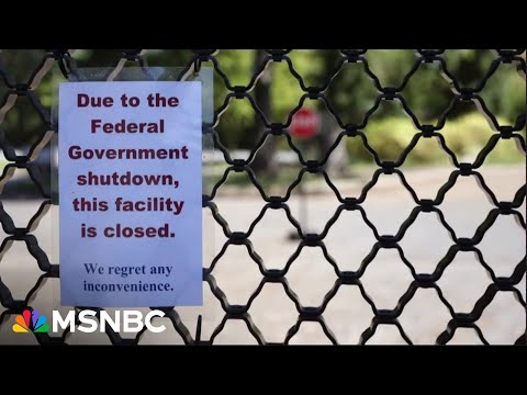 'Destruction of our government': Furloughed federal worker SLAMS Trump's shutdown