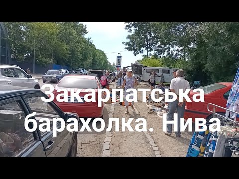 БАРАХОЛКА НА ЗАКАРПАТТІ. 30.06.2024р. РОМИ, МАДЯРИ ПРОДАЮТЬ УКРАЇНСЬКИЙ ПОРЦЕЛЯНОВИЙ ПОСУД