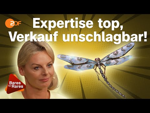 „Traumjuwel“: Bei Libellen-Brosche mit 270 Diamanten kommen alle ins Schwärmen | Bares für Rares XXL