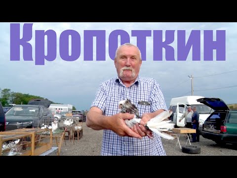 Птичий рынок. Кропоткин - новое место (Магистральная 1). [29.06.2025]