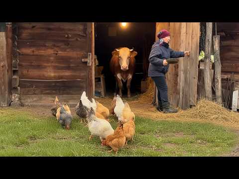 Homesteading Life Cozy Village Life: Cooking a Traditional Family Dinner on our Rustic Farm Stove