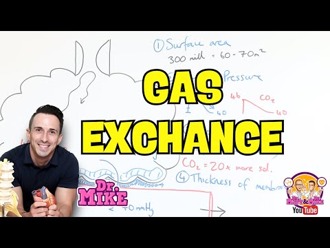 Gas Exchange