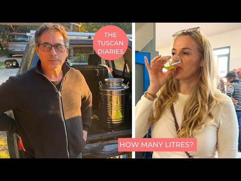HOW OLIVE OIL IS MADE &amp; HOW MUCH DID WE MAKE?