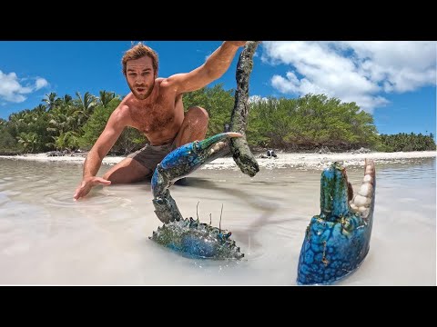 GIANT MUD CRAB! (World Record Search On Remote Islands)