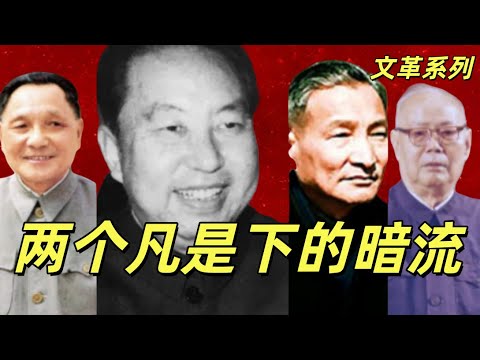 文化大革命201，华国锋鼓吹两个凡是，邓小平密会叶剑英，韦国清、许世友拜访邓小平。苏振华见叶剑英。华国锋婉拒陈云。为什么老干部对两个凡是无比愤恨？#中共#文革#文化大革命#邓小平#华国锋 #叶剑英
