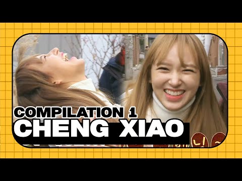 Cheng Xiao compilation 1 | Let's Eat Dinner Together
