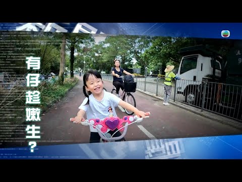 TVB新聞透視 ｜有仔趁嫩生？｜(繁／簡字幕)｜無綫新聞 ｜TVB News