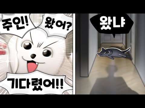 주인을 대하는 개와 고양이의 생각 차이 [유머게시판]