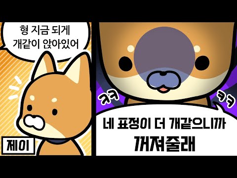 [싸이코드] 내가 개같아?